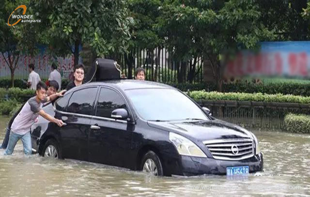 سيارة مصادفة وغارقة (5)