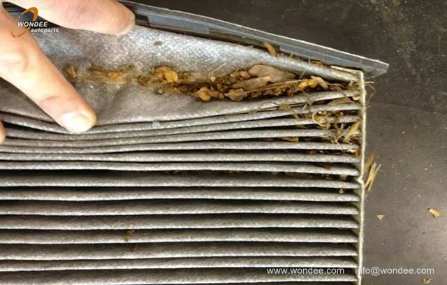 الهواء الدافئ في سيارة (5)