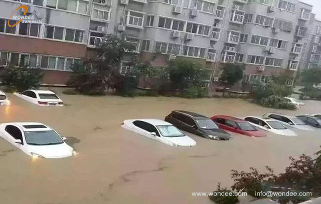 نقع السيارة (1)