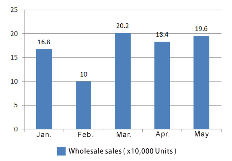 سيارة الركاب الطاقة الجديدة (3)